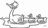 Patinhos Kaczka Patitos Kolorowanka Kolorowanki Kaczuszki Druku Kaczki Flamingi Kacza Wycieczka Jeziorze Malowanki Ptaki Ducklings Patos Categorias sketch template