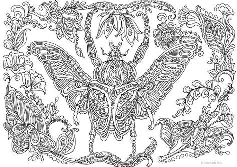bug insect coloring pages coloring pages printable adult coloring pages