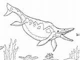 Pages Coloring Ichthyosaur Huge Coloringpagesonly sketch template