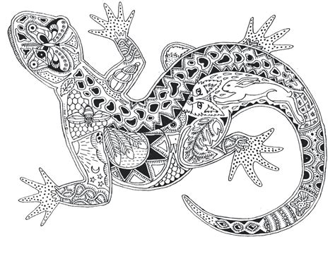 lizard animal coloring pages zentangle animals coloring pages