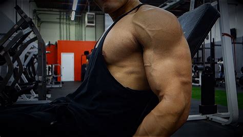 dumbbell biceps exercises  size definition