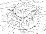 Rattlesnake Klapperschlange Diamant Ausmalbild Diamondback Kolorowanka Kleurplaat Zum Diamentowy Kolorowanki Diamanten Snakes Kategorien Kategorii Marishaturat sketch template