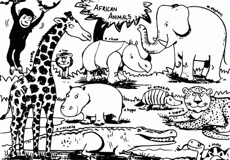 african safari animals easy african animal coloring pages clip art