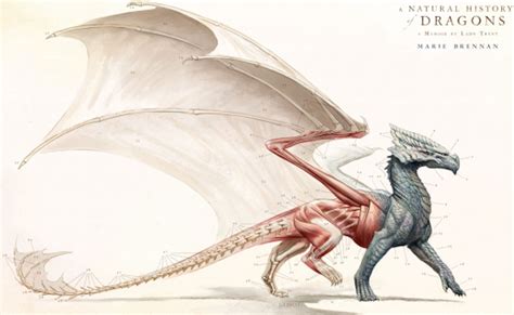 Reimagining Dragons For A New Era Of Fantasy