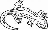 Salamander Coloring Pages Clip Color Printable Clipart Results sketch template