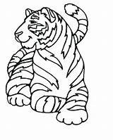 Tigre Tigres Escargot Colorier Coloriages Lescargot Sabre Dent Chinois Trouveras Sous Belle Greatestcoloringbook Ad3 Cett sketch template