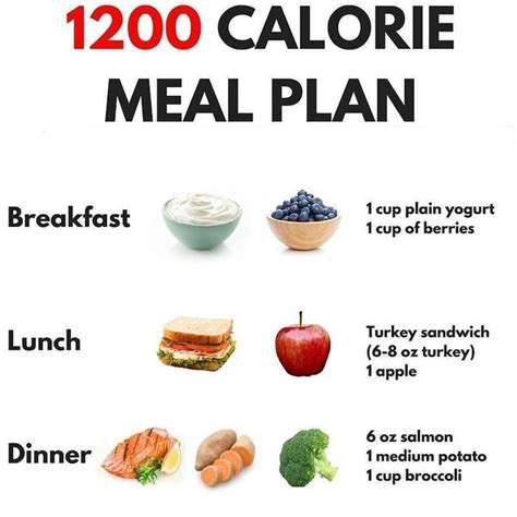 calorie diet asita