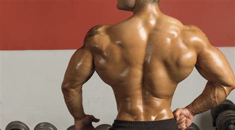 top  exercises  tremendous traps muscle fitness