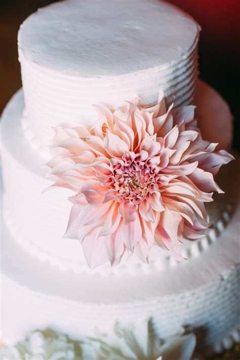 white wedding cake decorated with a single dinner plate dahlia