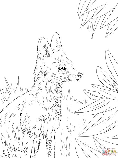 fox printable coloring pages