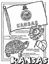 Kansas Coloring Pages Crayola State Flag Printable Facts Seal Color Kids States Book Arizona Oklahoma Symbols Worksheets Sheets Flower Flags sketch template