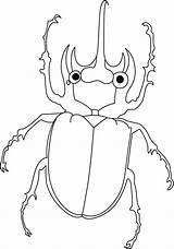 Beetle Carrapato Kids Ausmalen Insekten Tudodesenhos Zeichnen Bestcoloringpages Kindergarten sketch template