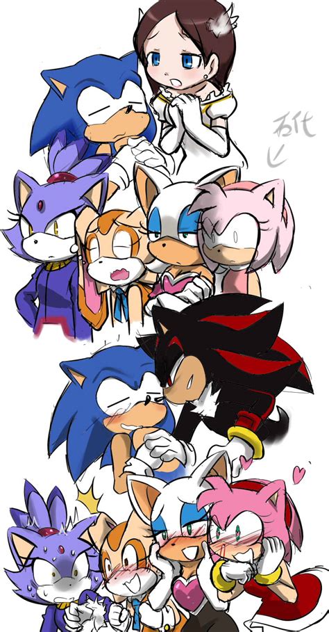 sonic shippers in a nutshell sonic the hedgehog know your meme