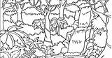 Rainforest Getdrawings sketch template