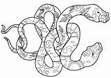 Schlange Erwachsene Drucken Kobra sketch template