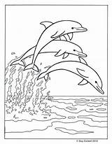 Dolphin Delfin Delphine sketch template