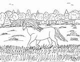 Shetland Pony Coloring Pages Robin Great Poofy Mane Ponies sketch template