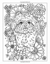 Shih Dog Amazon Coloring Cute Colouring Book Adults Tzus Paws Volume Thought Special sketch template