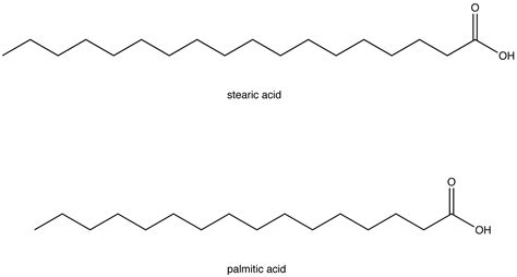 saturated fatty acid chemistry libretexts