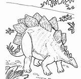 Stegosaurus Armored Coloringpagesonly Pages Dinosaur sketch template