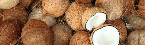 produce commodity coconut market industry summary