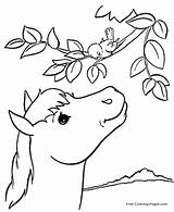 Horse Coloring Pages Sheets sketch template