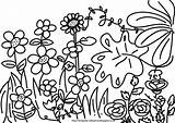 Mewarnai Bunga Kebun sketch template