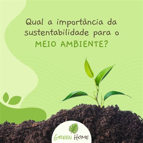 A Importância Da Sustentabilidade Sustentabilidade Desenvolvimento