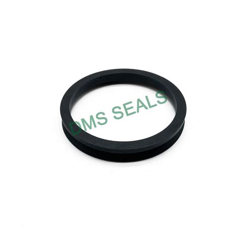 friction  dustproof va water seal dms seal manufacturer