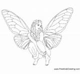 Fairy Squatting Surfnetkids Coloring sketch template