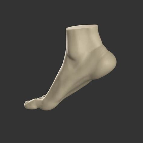 Foot Reference 2 Part 1 3d Model 3d Printable Stl