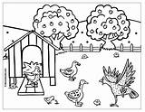 Poule Mewarnai Gambar Ayam Rousse Oie Coloriages Bebek Guinea Fowl Dinde Gratuit Buzz2000 Dessins Ternak Boowa Uptoten Kelinci sketch template