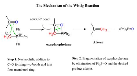 wittig reaction examples  mechanism chemistry steps