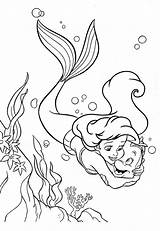 Sereia Ariel Pequena Voltar sketch template