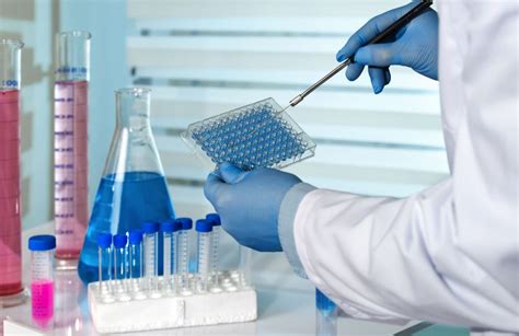 Biomedical Engineer Working With Microplate In Laboratory Scientist