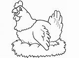 Coloring Pages Hens Print Kids Color sketch template