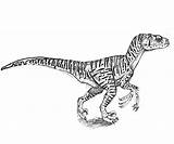 Jurassic Dinosaure Raptor Rex Velociraptor Indoraptor Trex Mosasaurus Omnilabo Ausmalbilder Jecolorie Spinosaurus Library Colorier Downloaden Owen Indominus Kids Malvorlagen Choisir sketch template