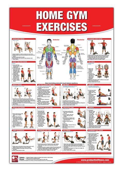 buy home gym exercises laminated posterchart home gym chart home gym