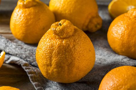 sumo citrus dekopon   eat  orange parade