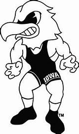 Wrestling Herky Hawkeye Hawkeyes Cyclones sketch template