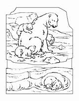 Polar Coloring Designlooter Bear Mother Baby sketch template