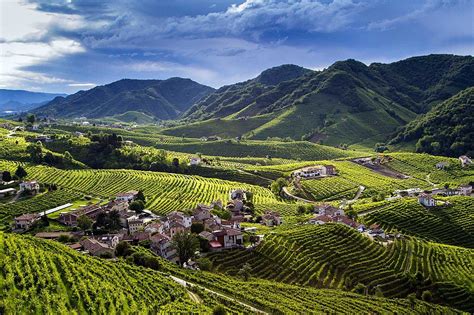 le colline del prosecco patrimonio unesco sanciscono limportanza del viticoltore