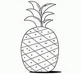 Coloring Pineapple Cute Resolution Source High sketch template