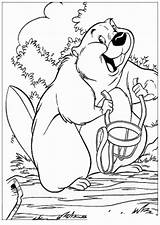Beaver Coloring Pages Color sketch template