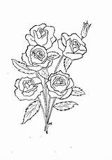 Ranken Schablonen Blumenranke Sterne Silke Windowcolor sketch template