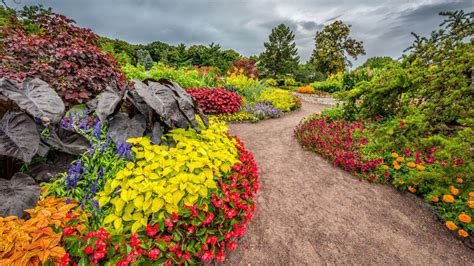 minnesota landscape arboretum reopens visitor center  gardens