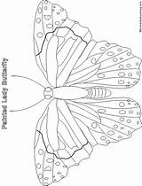Butterfly Painted Lady Enchantedlearning Printouts Enchanted Learning Subscribers Estimate 2nd 1st Grade Level Activities sketch template