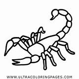 Scorpio Desenho Escorpião Scorpion Estrela Ultracoloringpages sketch template