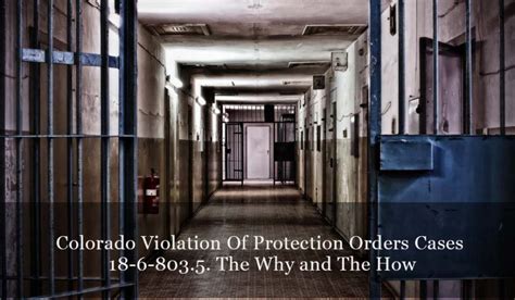 Colorado Violation Of Protection Orders Cases 18 6 803 5 The Why And