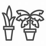 Zimmerpflanze Freisteller Umriss Konzept Grafiken Vektorgrafiken Weißem Blume Dekor Tropischen Zimmer Pflanze Zeichen Linie Töpfen sketch template